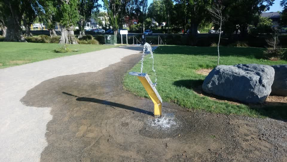 The photograph attached to this parks report