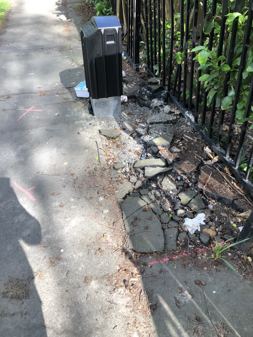 The photograph attached to this roading/streets report