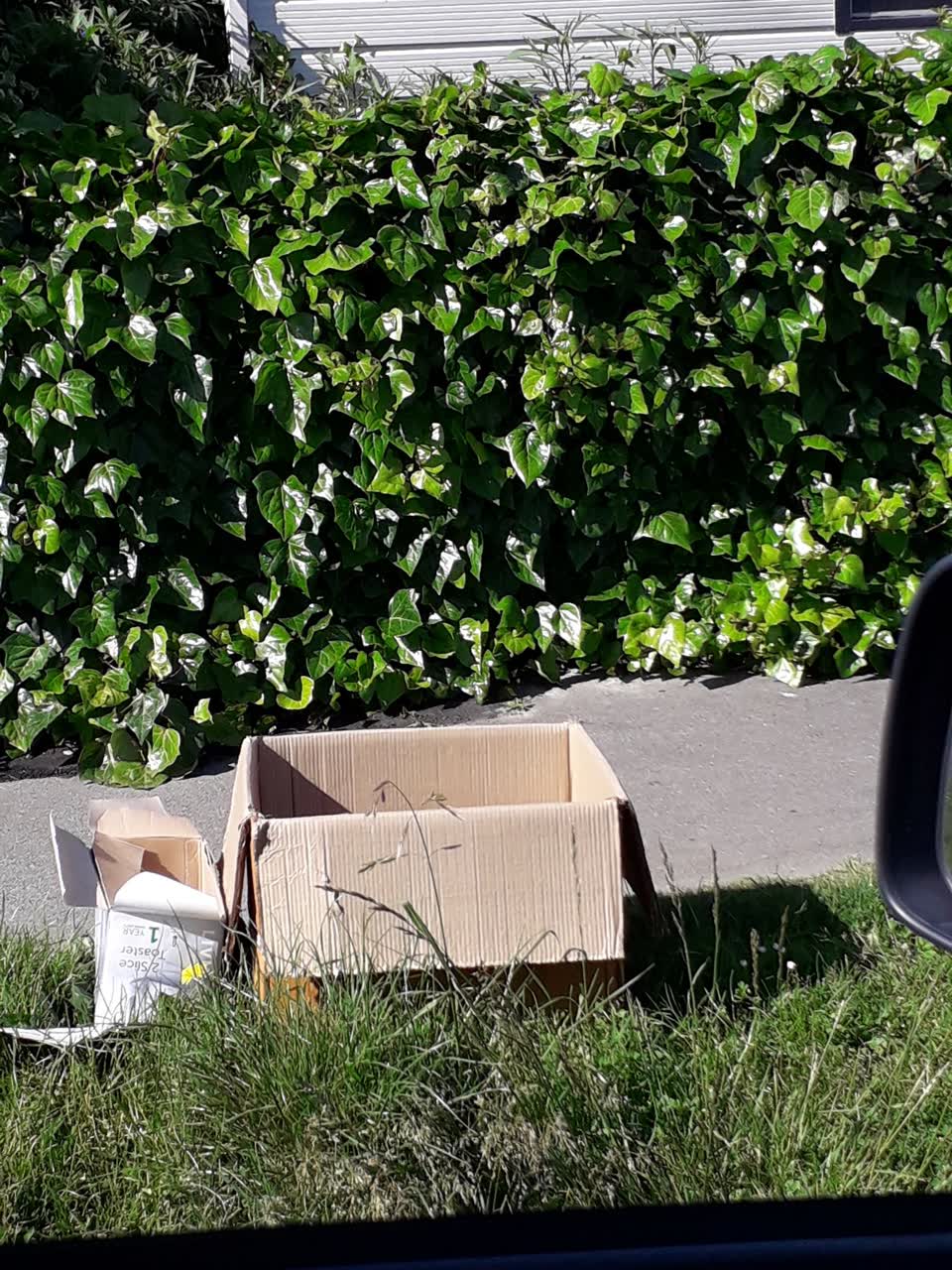 The photograph attached to this rubbish/recycling report