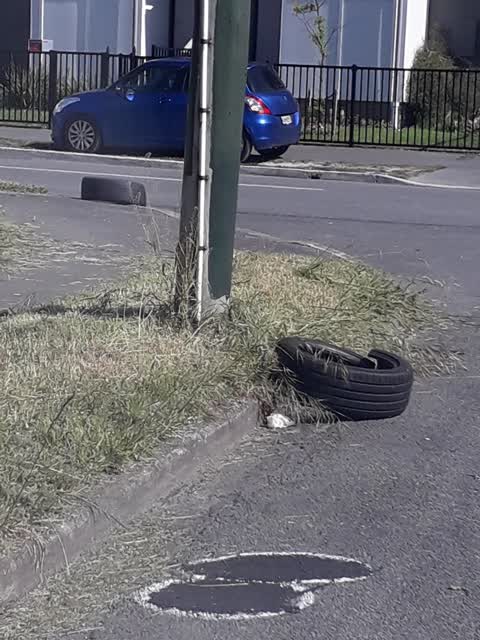 Rubbish/Recycling — a report photo