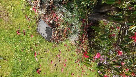 Water Leak — a report photo