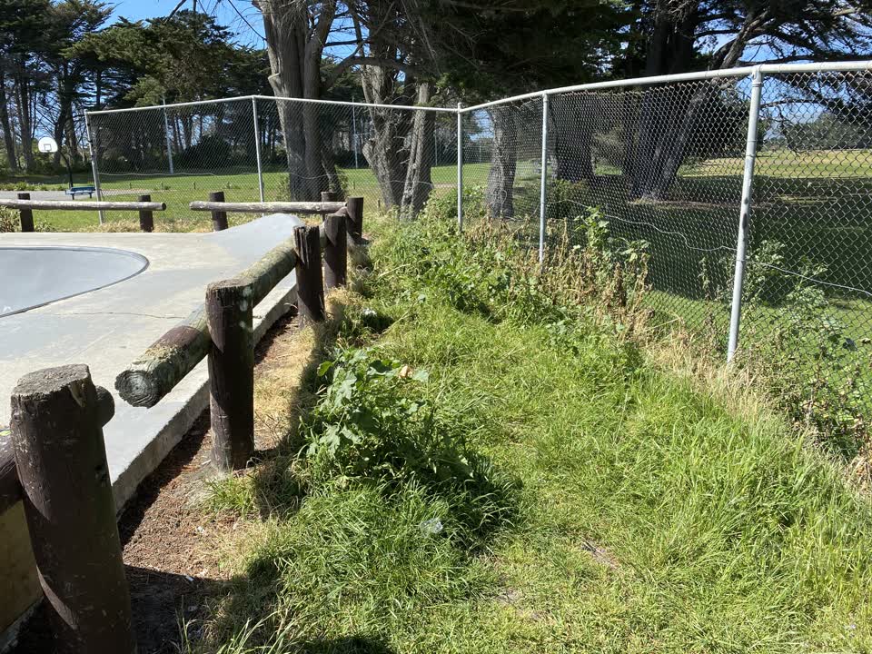 The photograph attached to this parks report