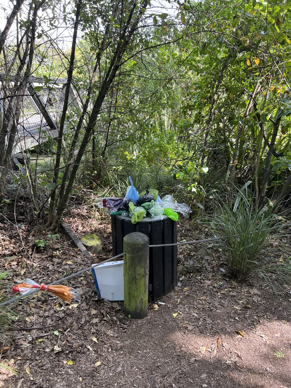 The photograph attached to this rubbish/recycling report