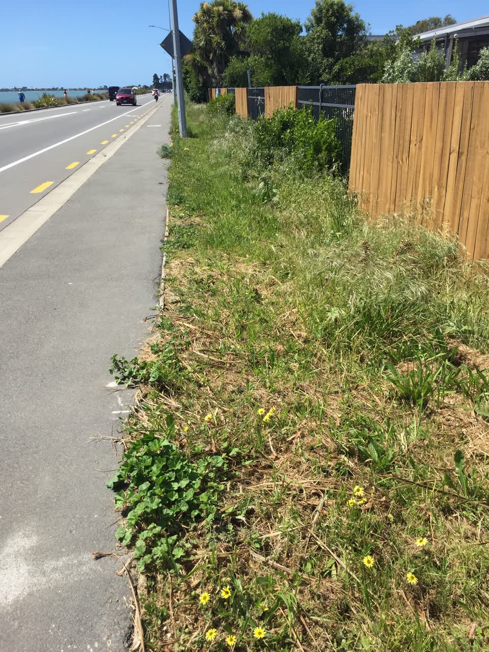 The photograph attached to this parks report