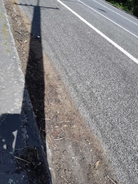 Roading/Streets, a report photo
