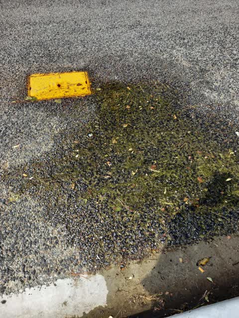 Wastewater/Stormwater, a report photo