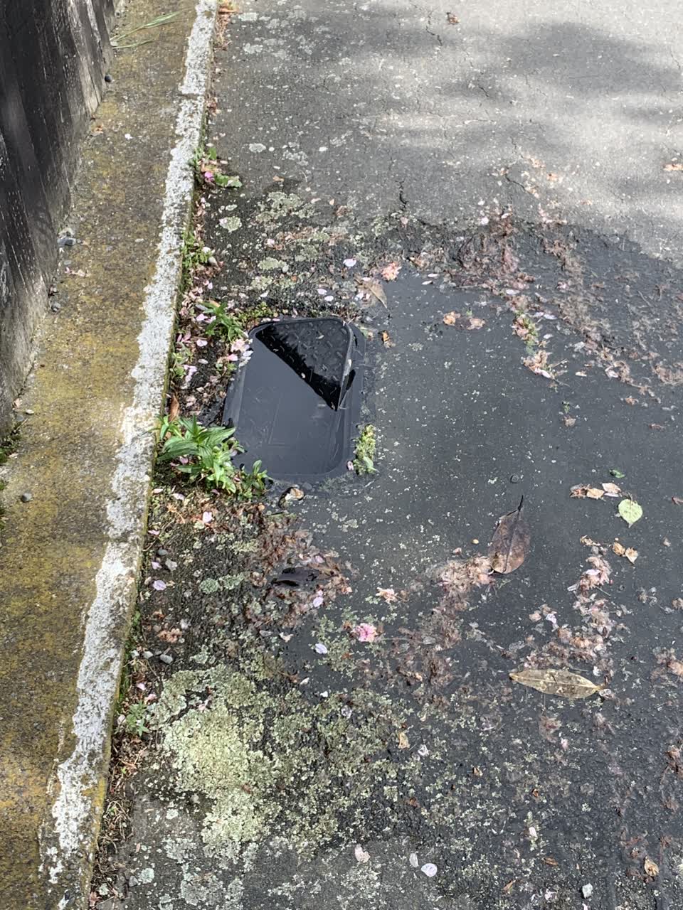 The photograph attached to this water leak report