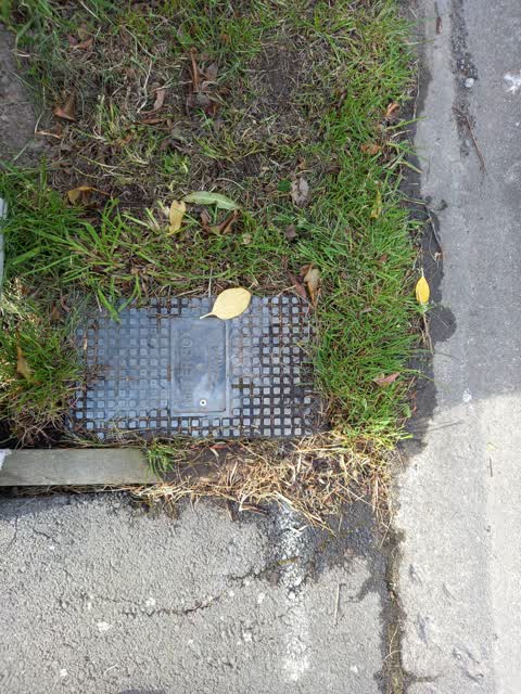 Water Leak, a report photo