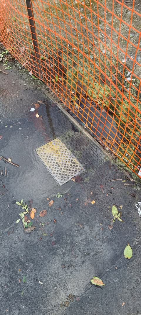 Water Leak, a report photo