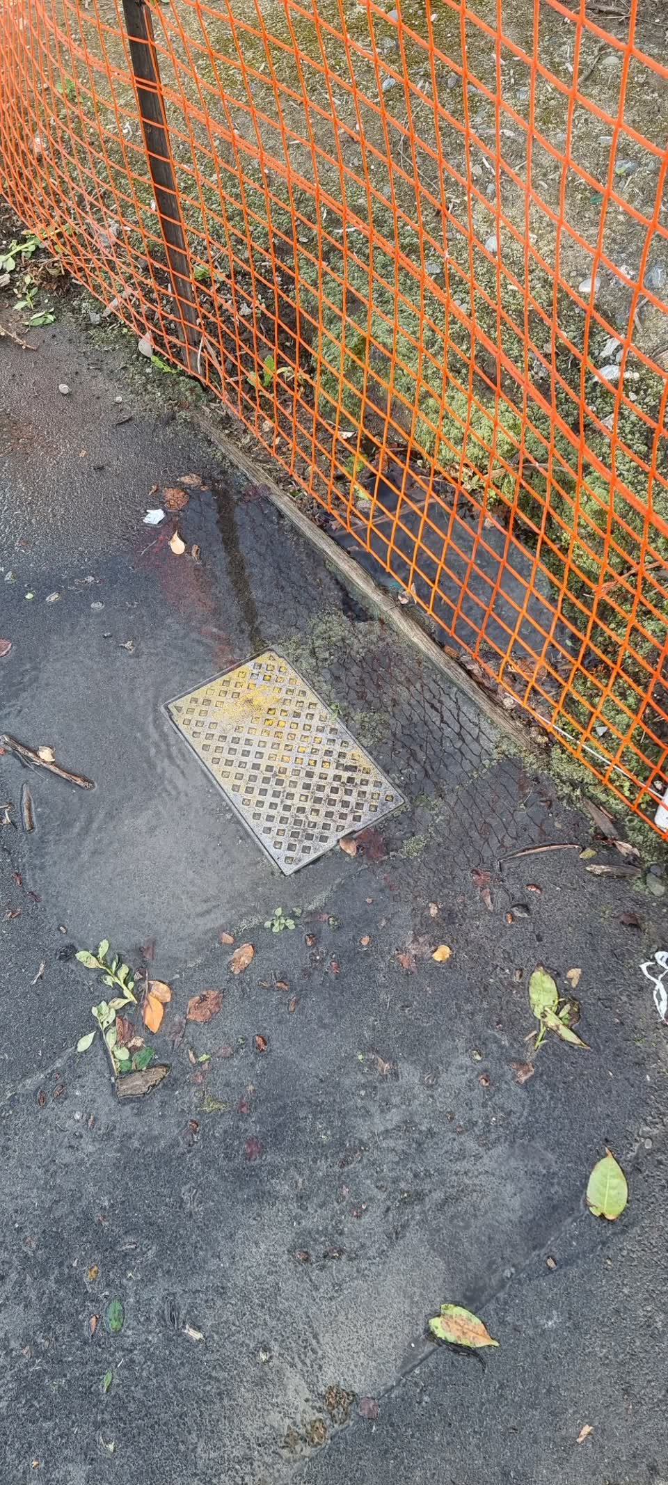 The photograph attached to this water leak report