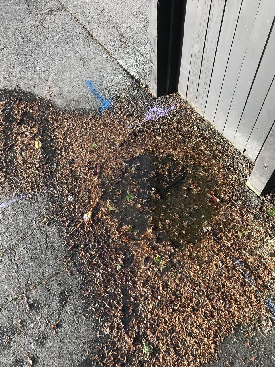 The photograph attached to this water leak report