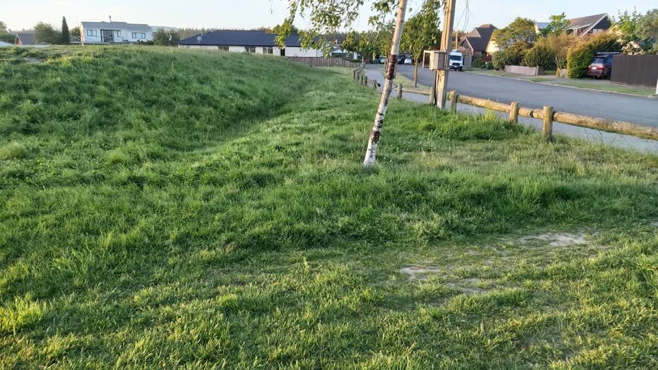 The photograph attached to this parks report