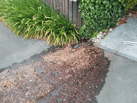 Water Leak, a report photo