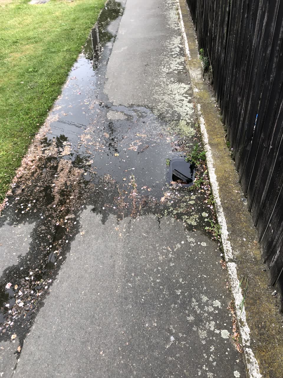 The photograph attached to this water leak report