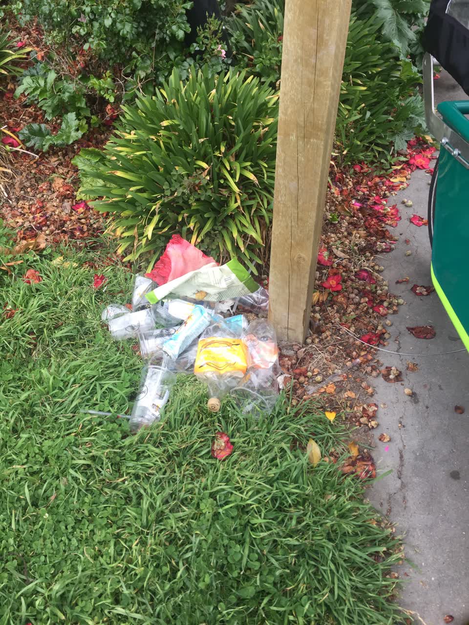 The photograph attached to this rubbish/recycling report