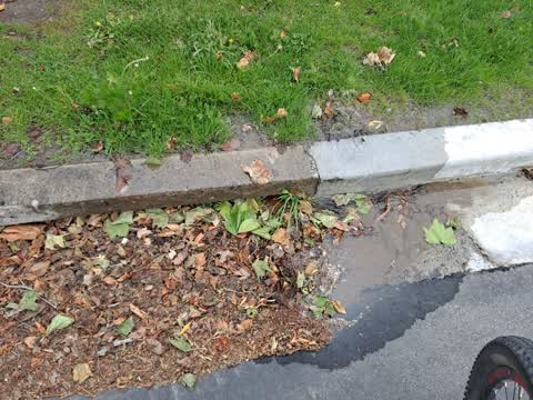 Water Leak, a report photo