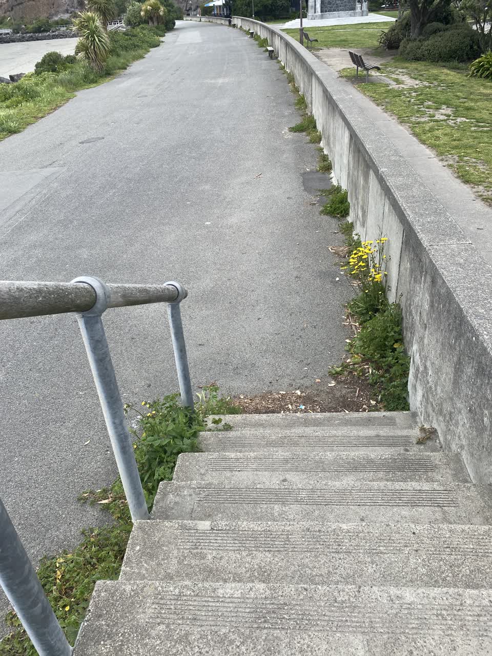 The photograph attached to this parks report