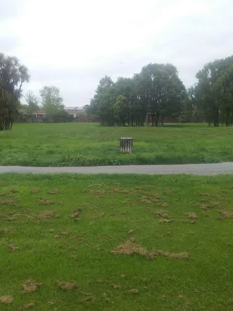 Parks, a report photo