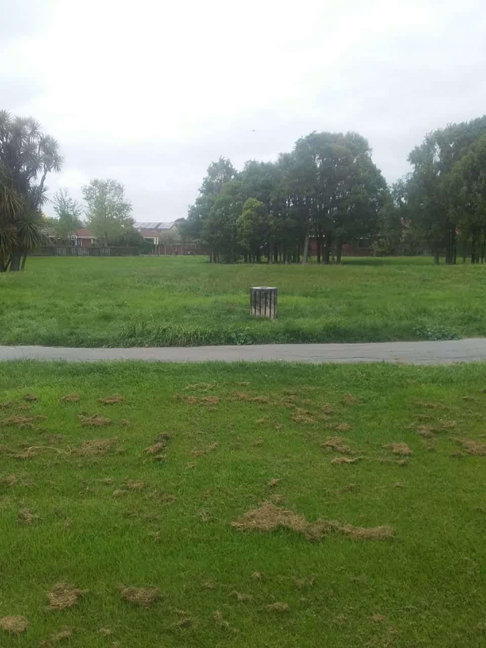 The photograph attached to this parks report