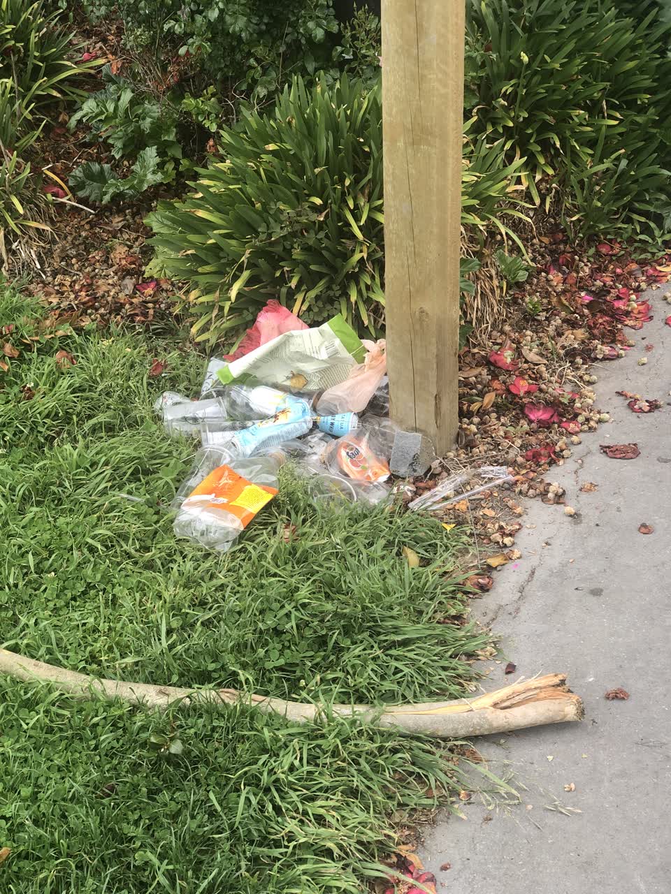 The photograph attached to this parks report