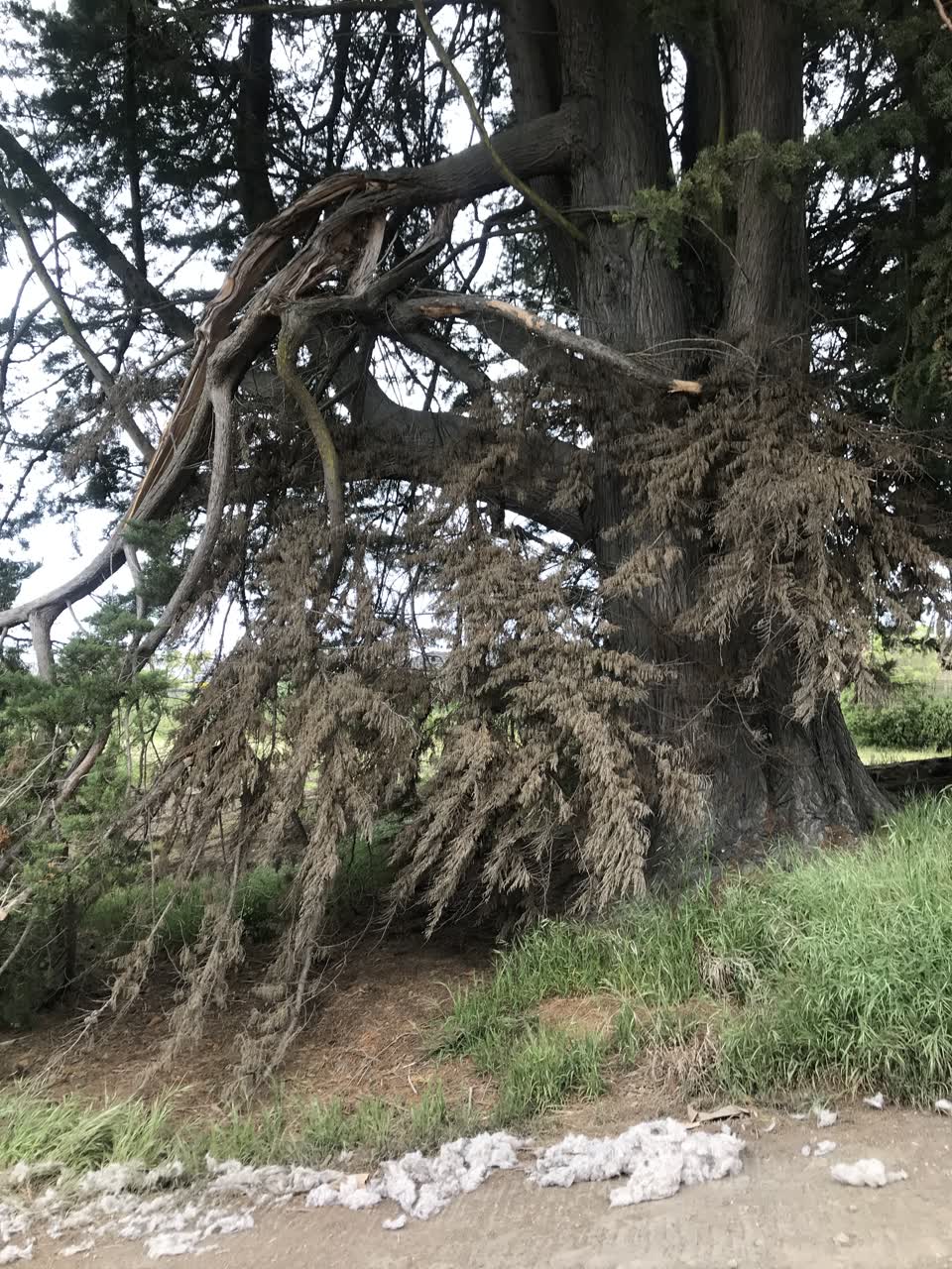 The photograph attached to this parks report