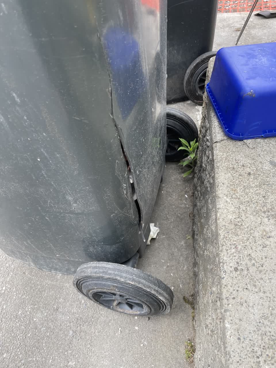 The photograph attached to this rubbish/recycling report