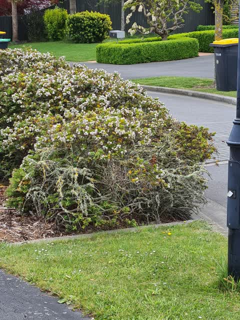 Parks, a report photo