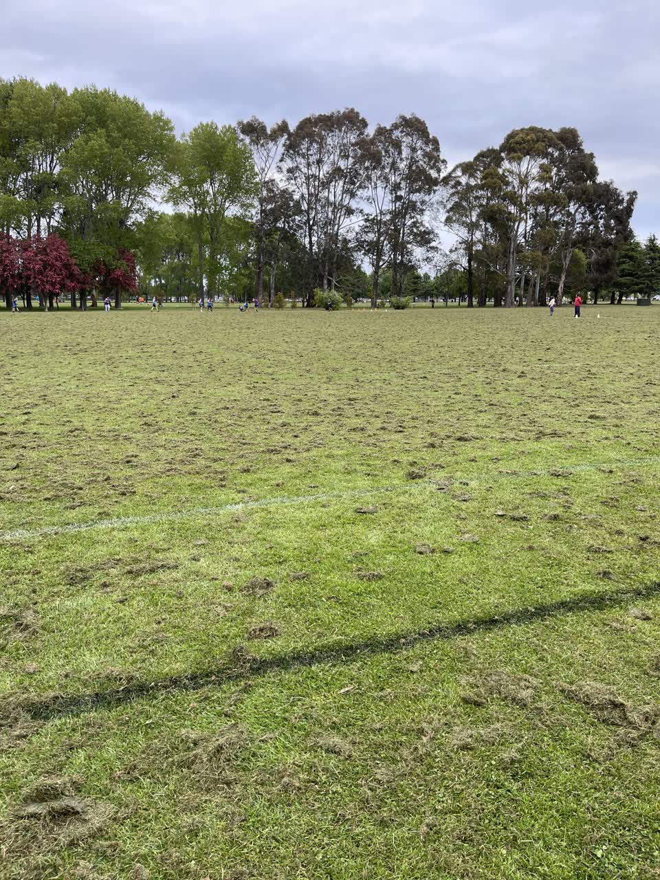 The photograph attached to this parks report