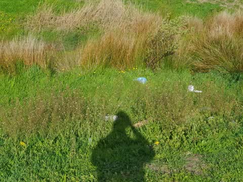 Parks, a report photo