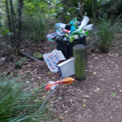 Parks, a report photo