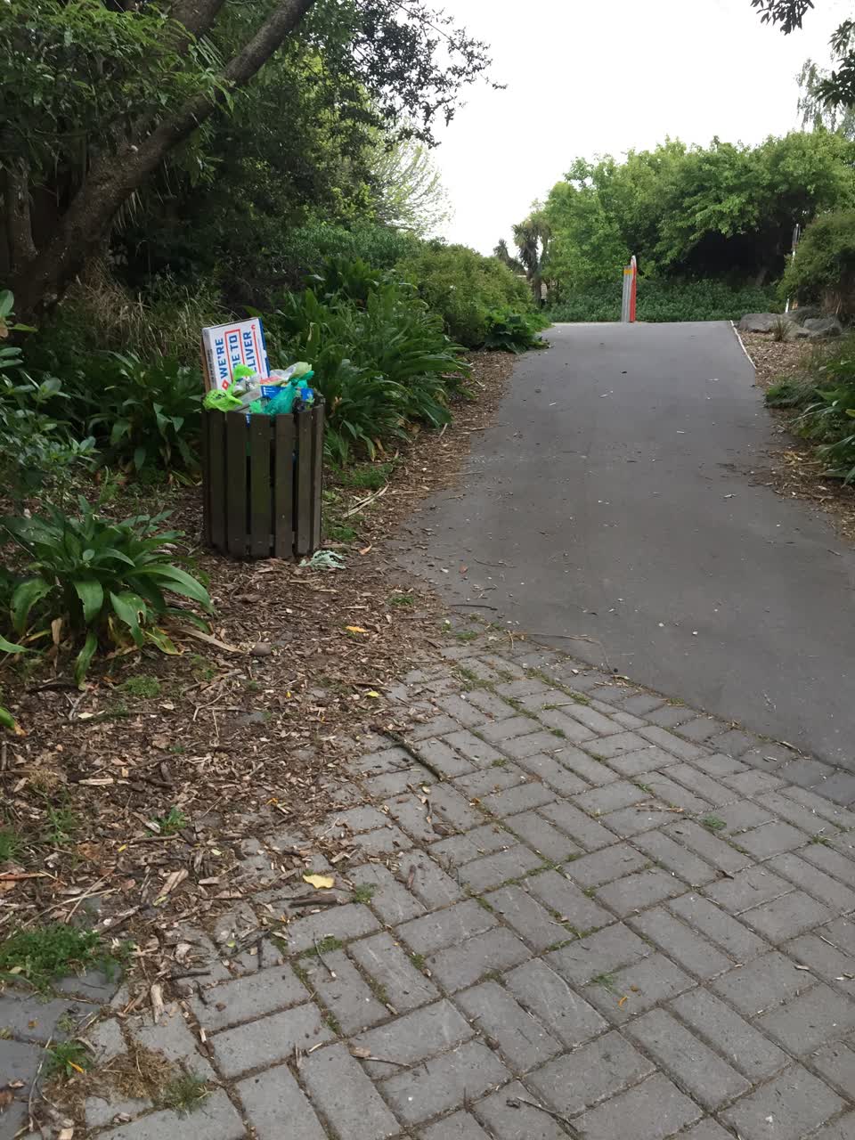 The photograph attached to this rubbish/recycling report