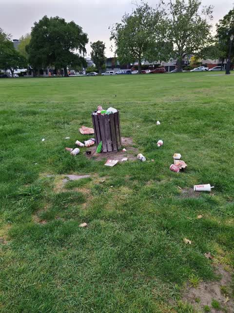 Rubbish/Recycling, a report photo