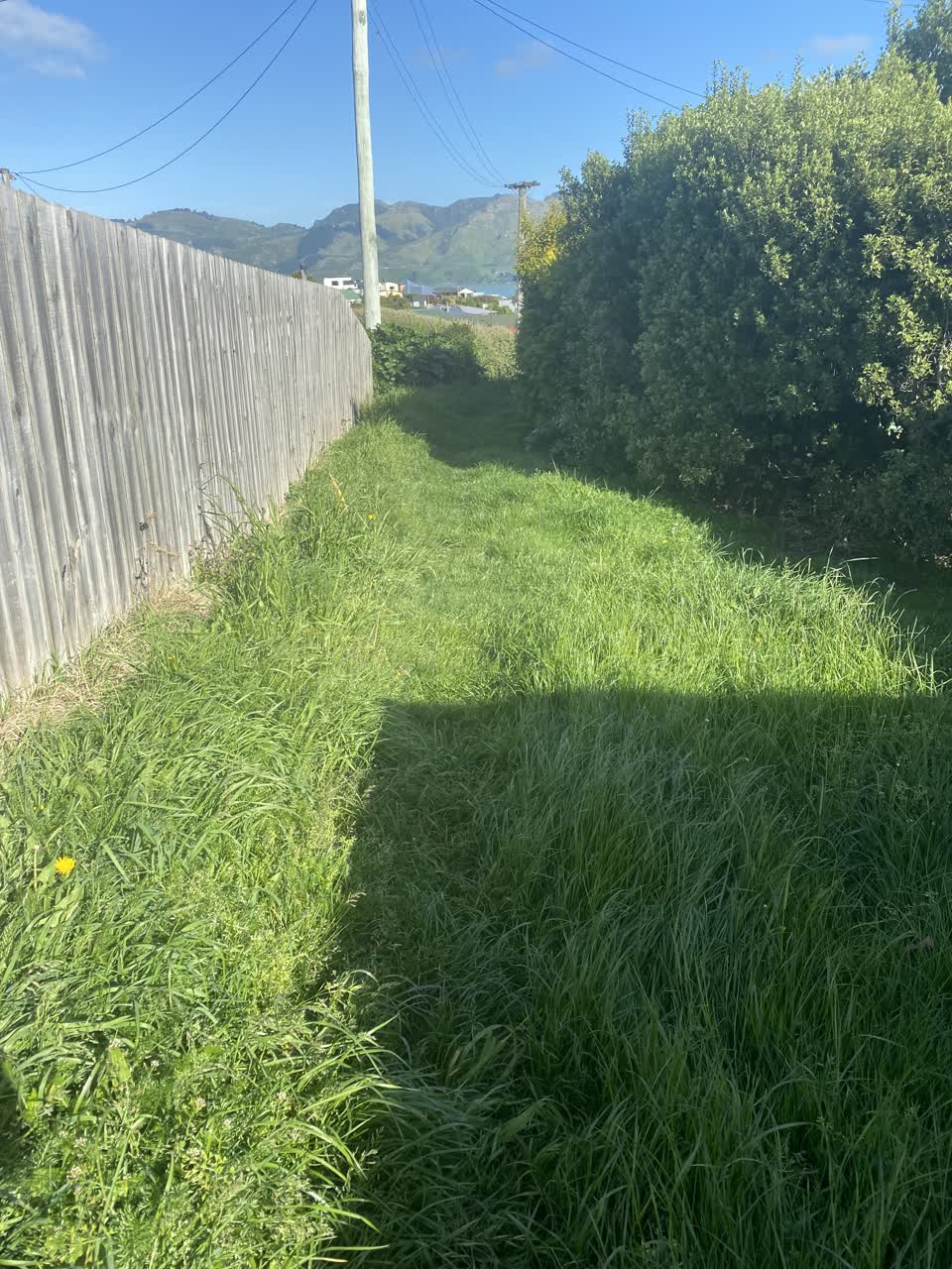 The photograph attached to this parks report