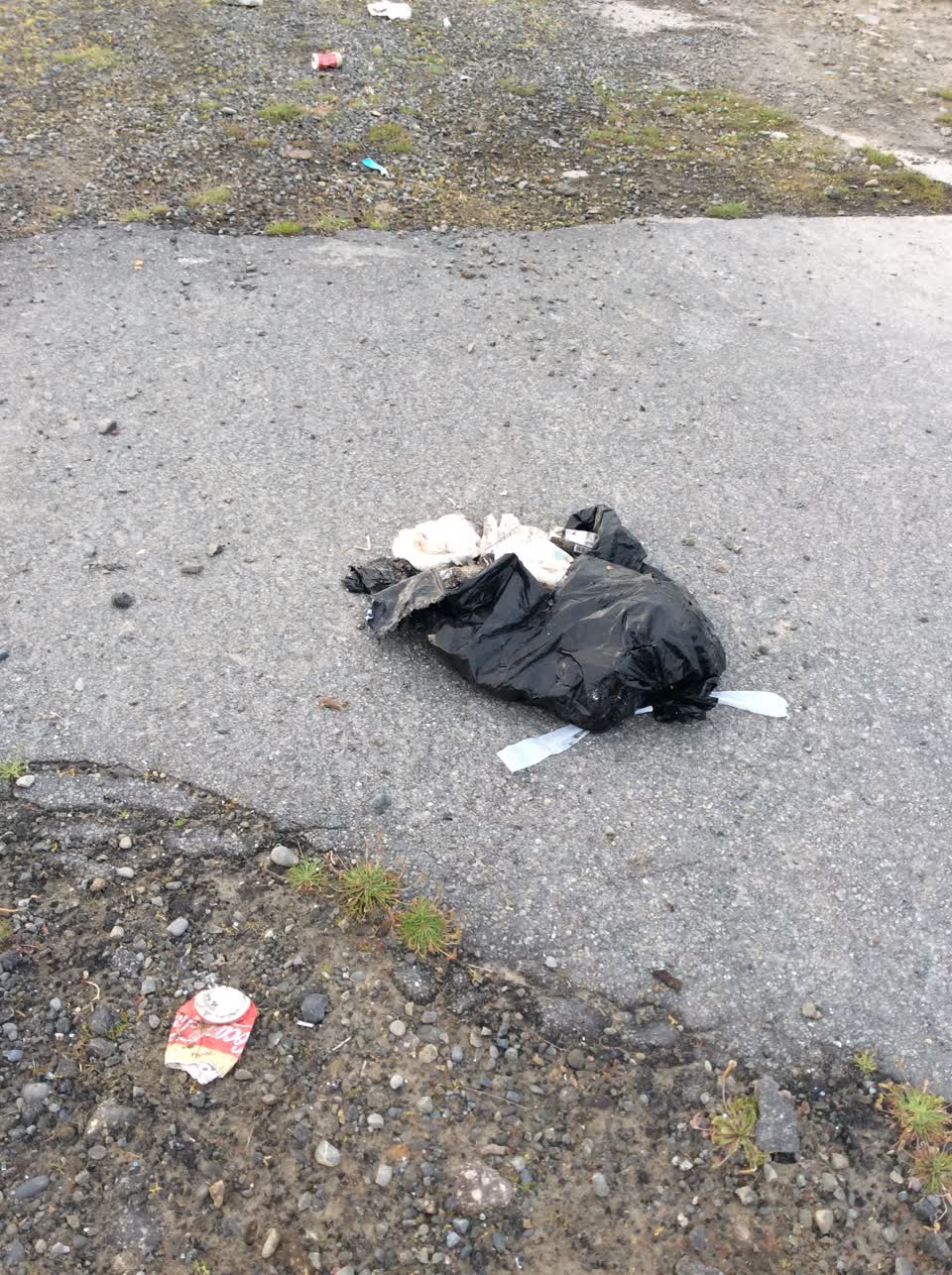 The photograph attached to this rubbish/recycling report