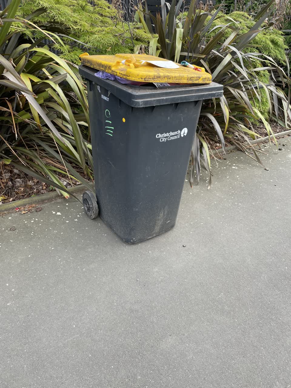 The photograph attached to this rubbish/recycling report