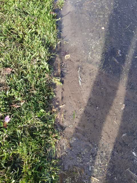 Roading/Streets, a report photo