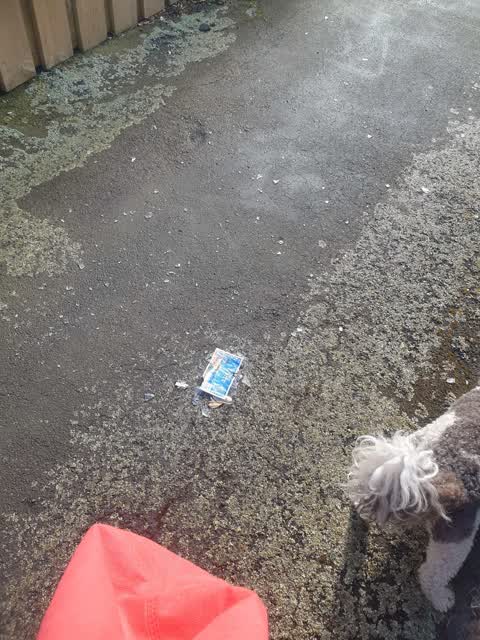Rubbish/Recycling, a report photo