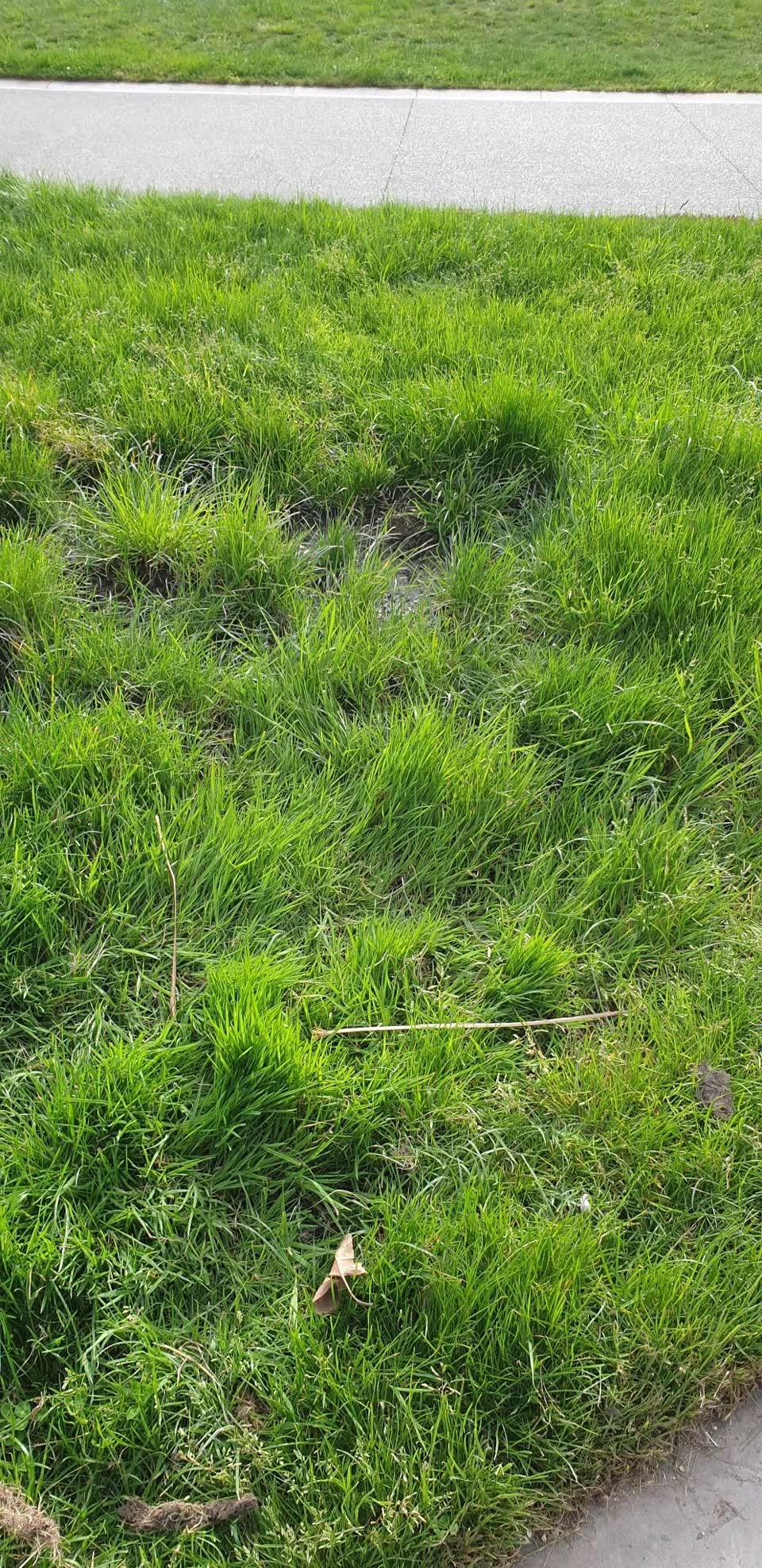 The photograph attached to this water leak report