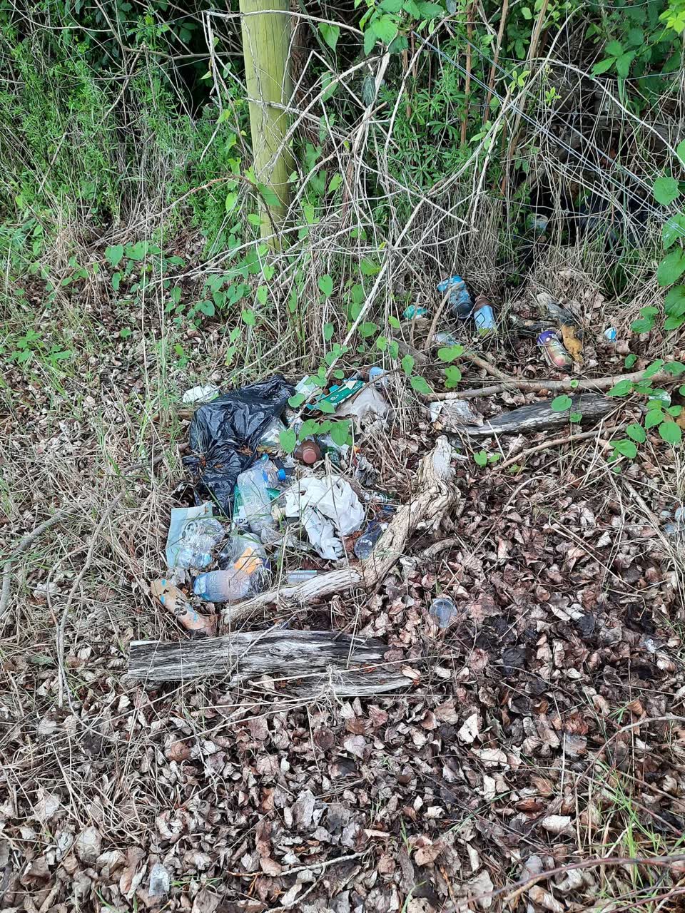 The photograph attached to this rubbish/recycling report