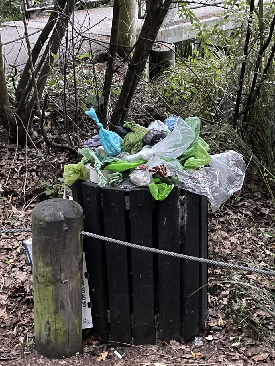 The photograph attached to this rubbish/recycling report