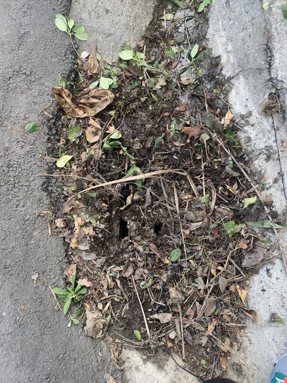 The photograph attached to this roading/streets report