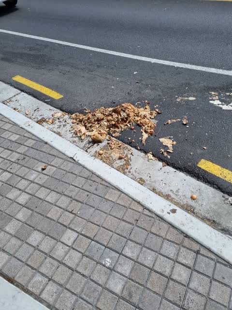 Rubbish/Recycling, a report photo