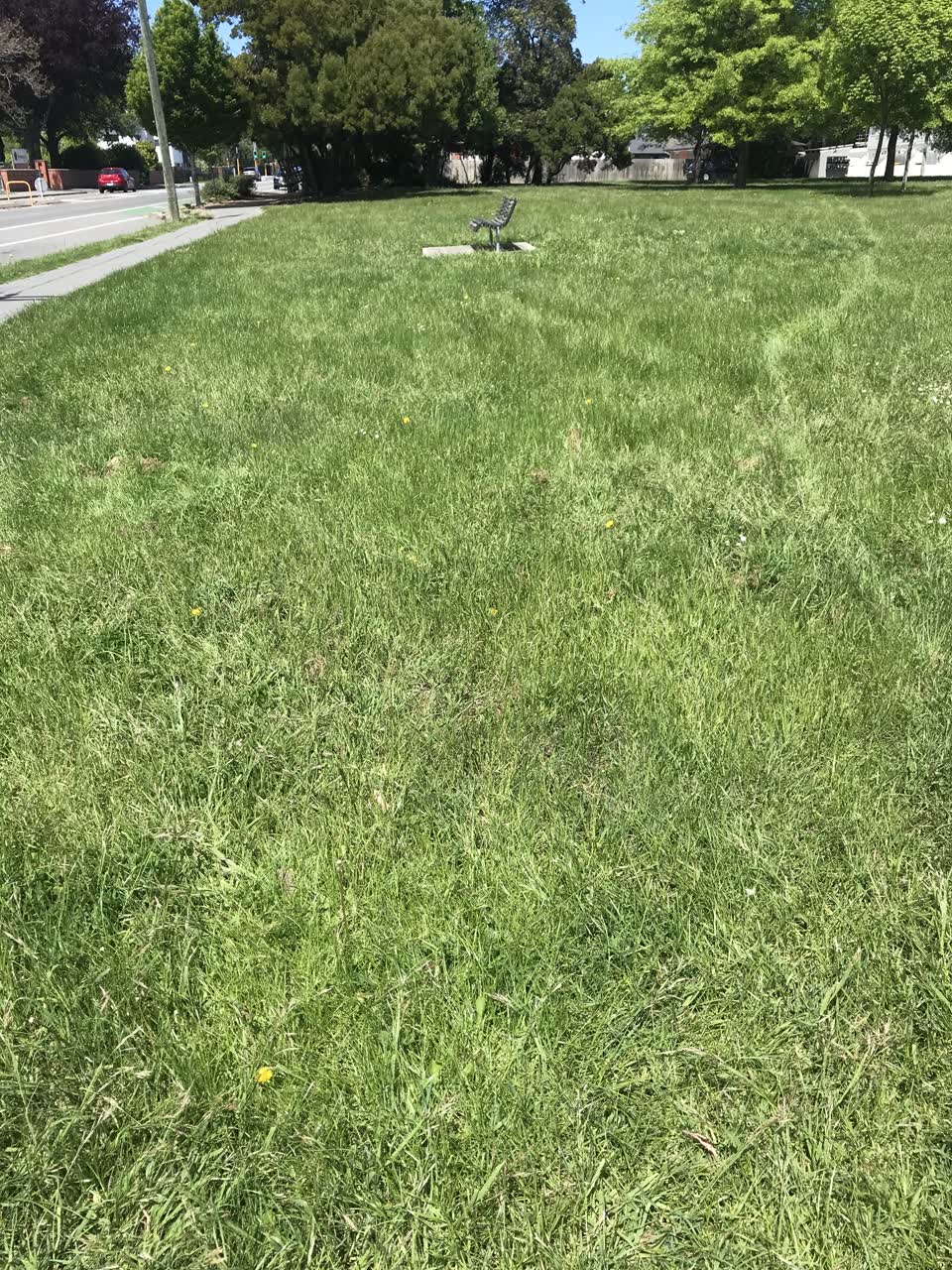The photograph attached to this parks report