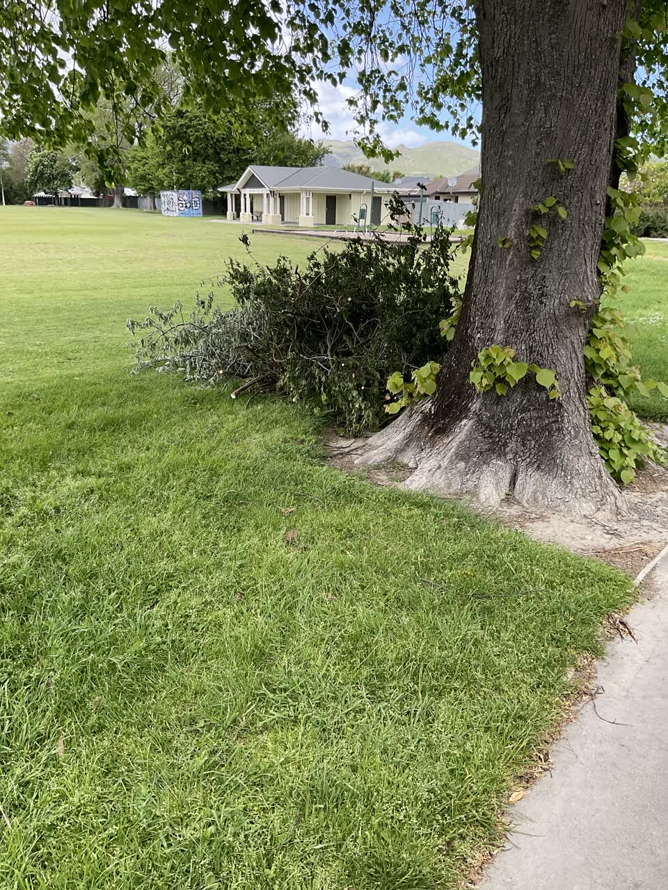 The photograph attached to this parks report