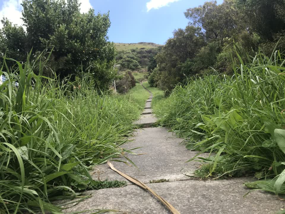 The photograph attached to this parks report