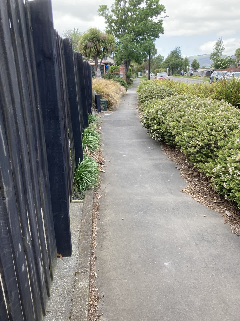 The photograph attached to this parks report