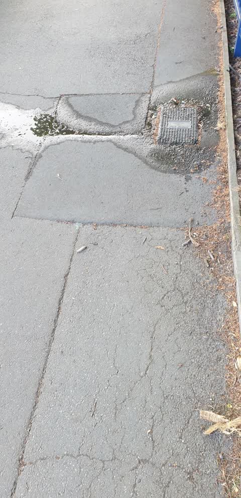 Water Leak, a report photo