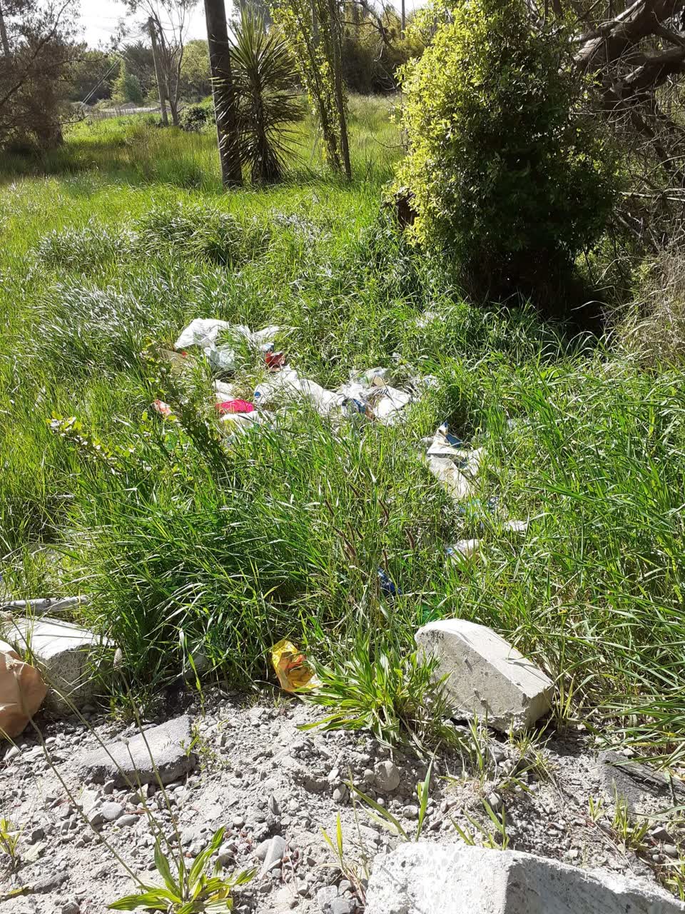 The photograph attached to this rubbish/recycling report