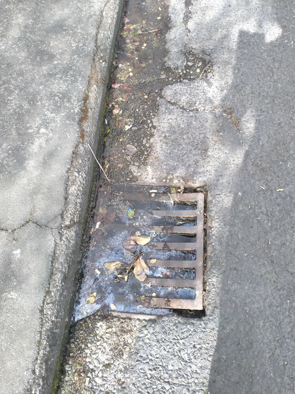 The photograph attached to this flooding report