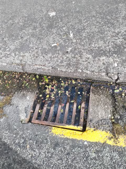 Sewer - Leak / Blockage, a report photo